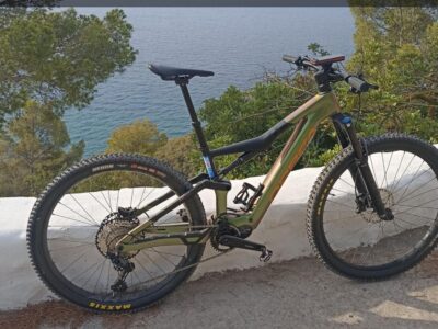 Orbea Rise robada