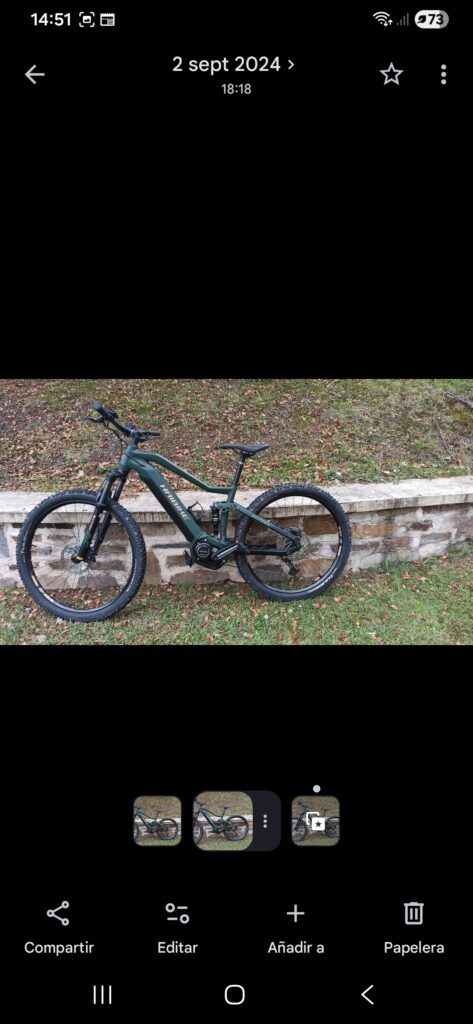 Bicicleta robada