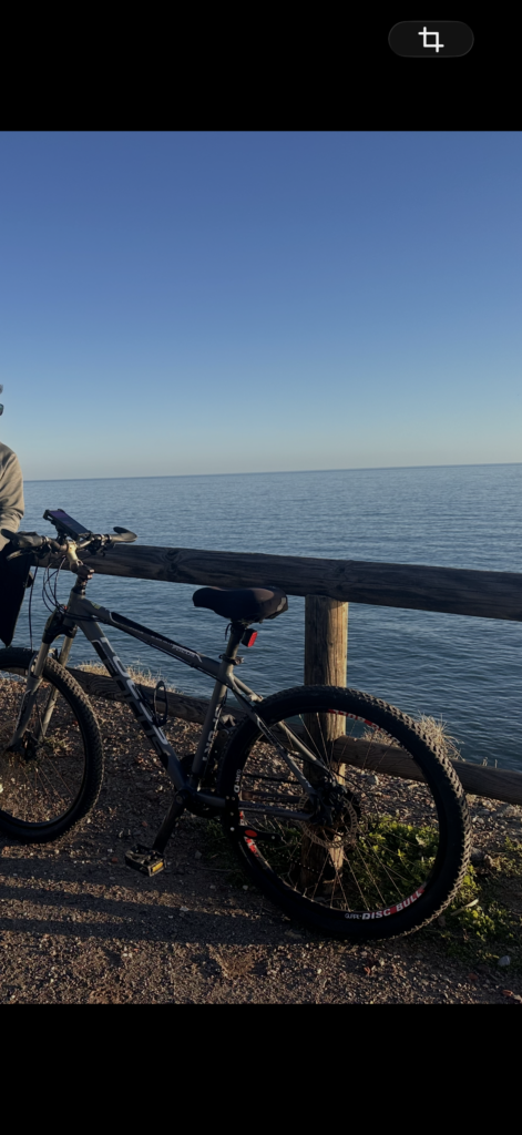 Bicicleta ficha